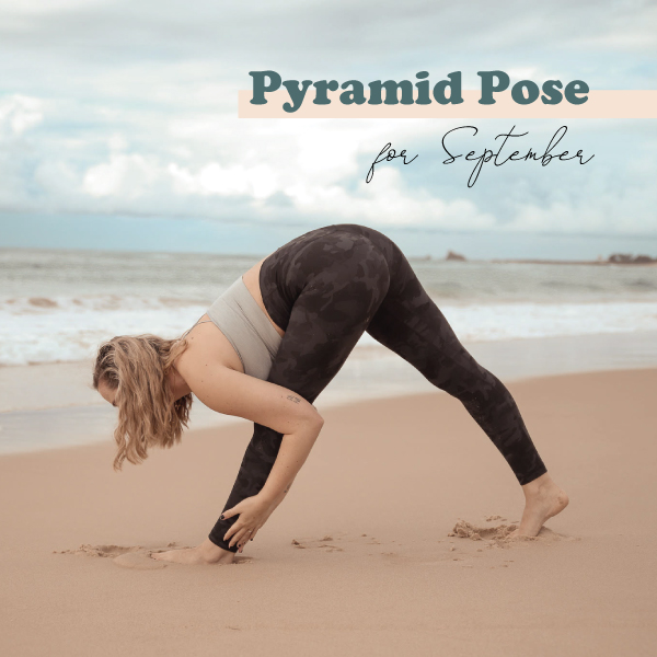 Profile of sporty young man working out, standing in yoga Pyramid Pose,  Parsvottanasana deep